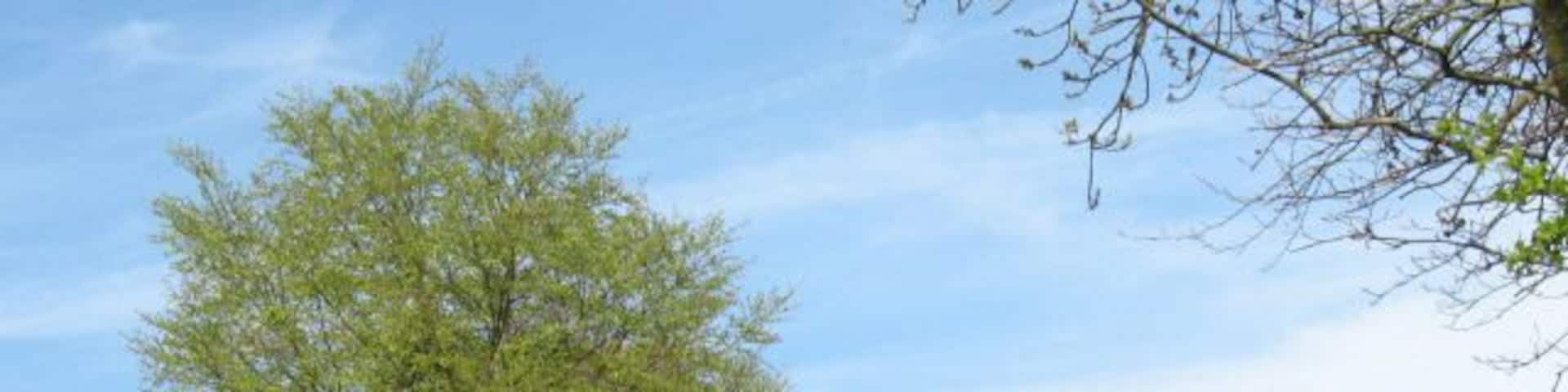 The long straight track in Spring. I have taken Penny Mayes' title for 141843 for this shot which shows what a difference one month makes in the spring.