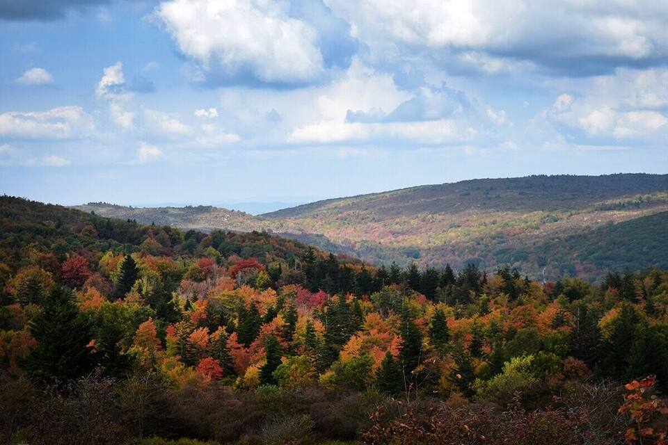 A forested valley with autumn foliage.