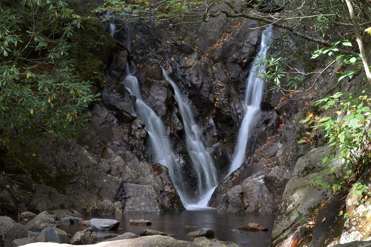 On the Cabin Creek Trail
#TakeAHike