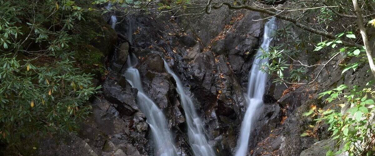 On the Cabin Creek Trail
#TakeAHike