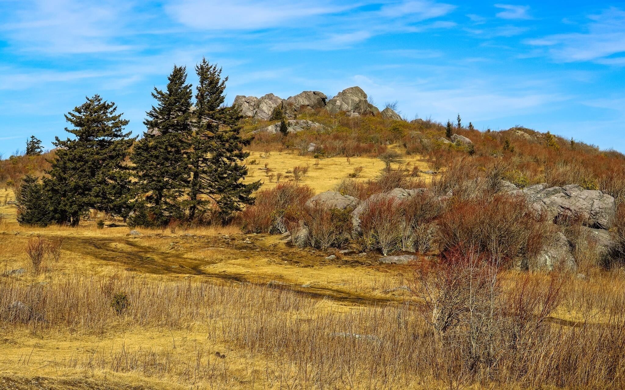 Beautiful day to be in Virginia at the prettiest state park in Virginia. The Grayson Highlands State Park