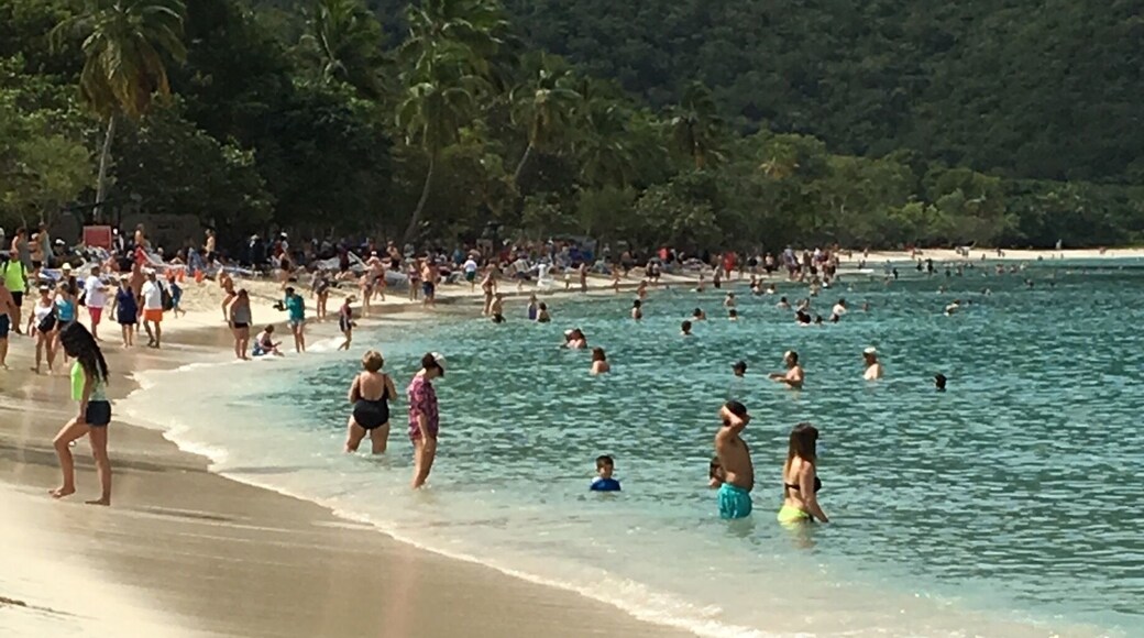 For a good time get the rum punch!