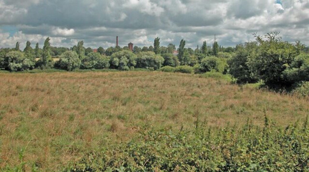 Rough pasture Land north of the canal towpath sloping gently to a drainage ditch below the hedge. In the distance the chimney and old buildings of the former County Asylum.