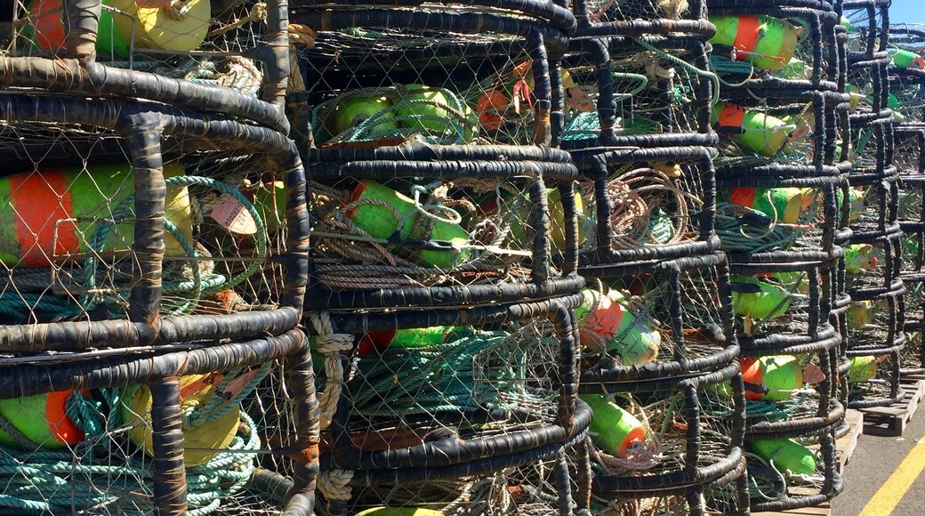 Crab pots. Stacked and ready to go!