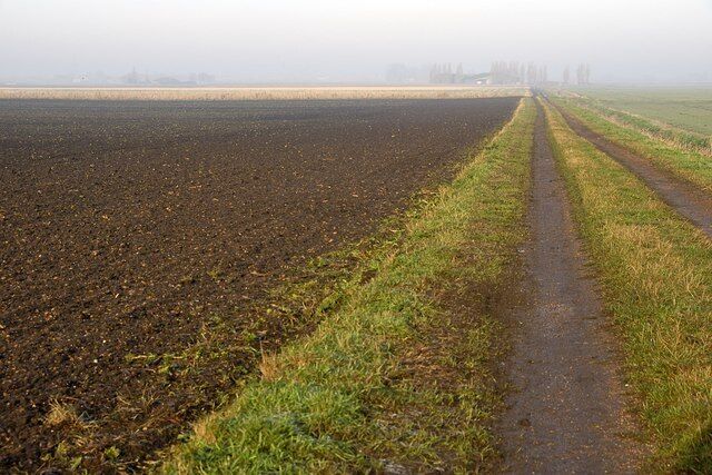 Track to Northey Farm
