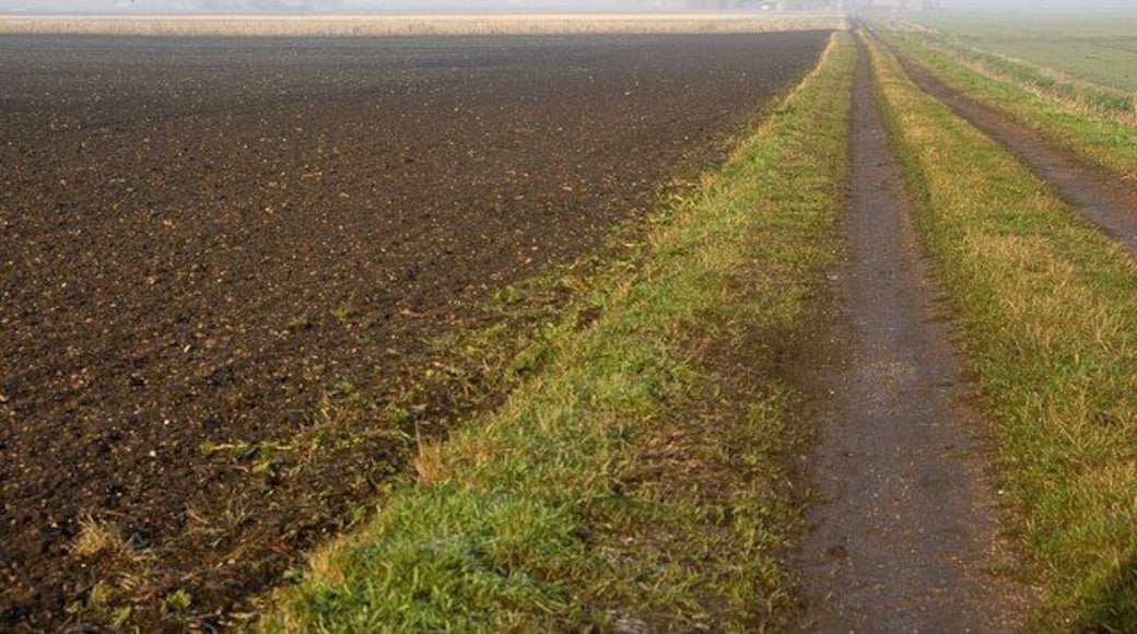 Track to Northey Farm