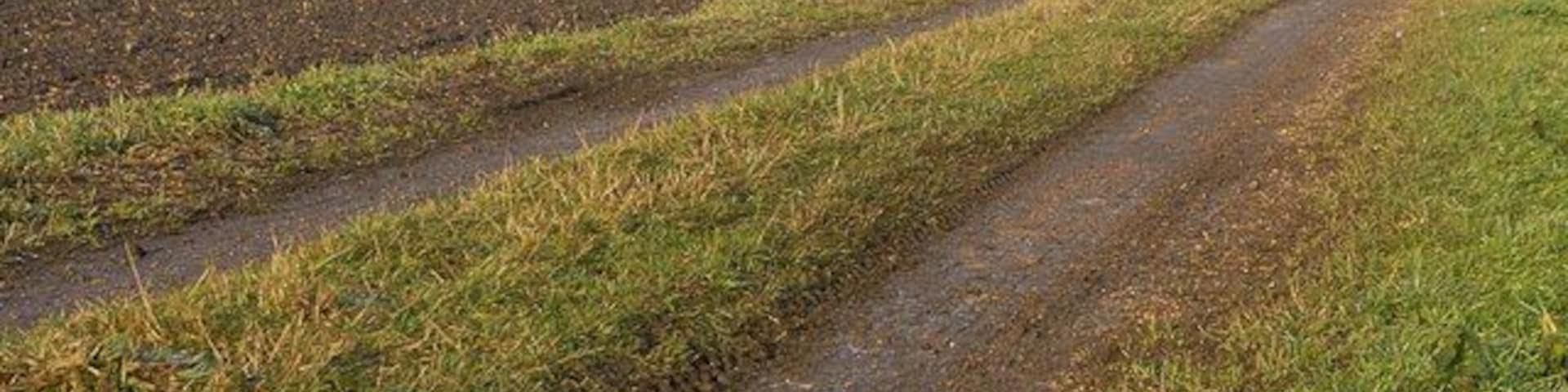 Track and fields at Northey