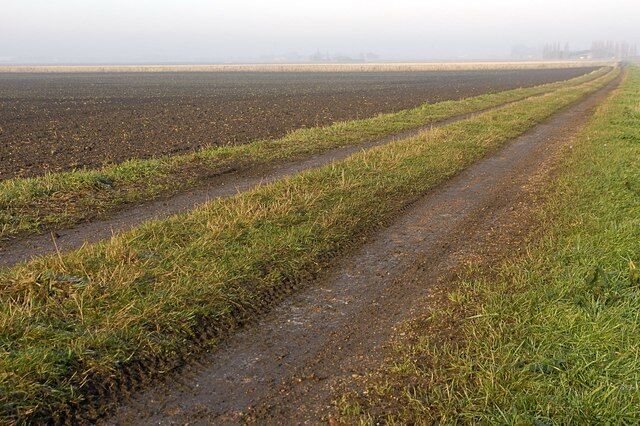 A rural landscape with a dirt path and fields.