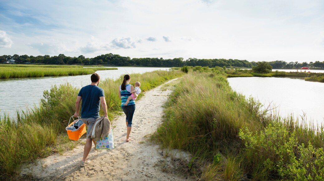 Rear view of mid adult parents carrying baby daughter on riverside picnic