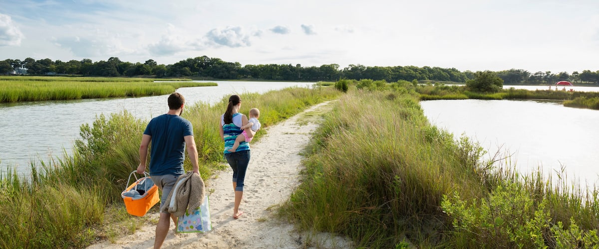 A sandy path beside a calm body of water, surrounded by tall grass and trees.