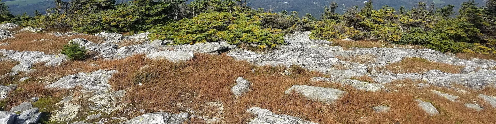 Summit view ... after a great hike on the long trail