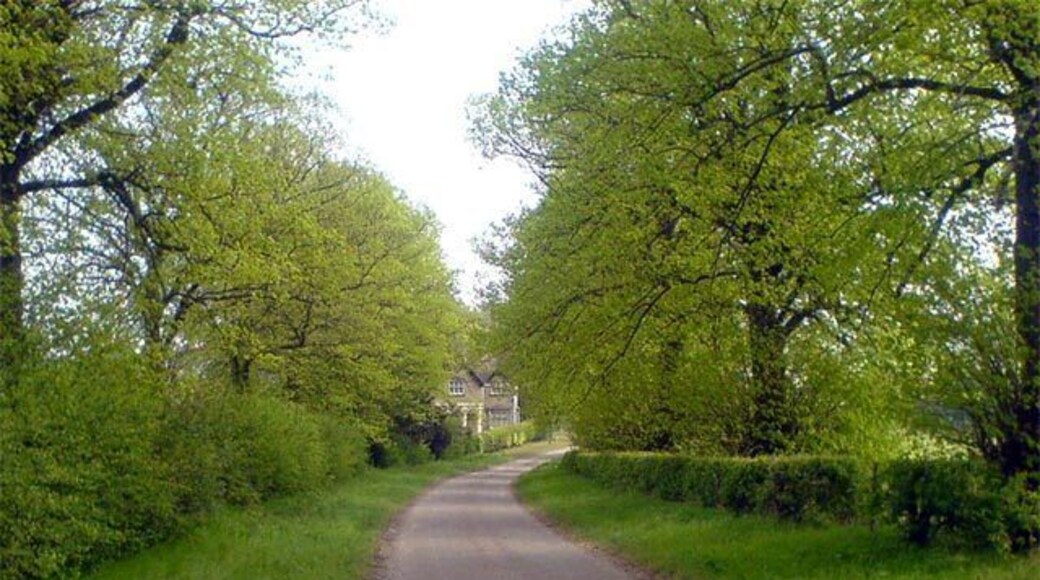 Milnthorpe Lodge A typical leafy lane with the focus on Milnthorpe Lodge in Norton.