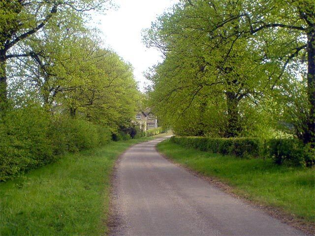 A narrow rural road flanked by lush green trees and a distant house.