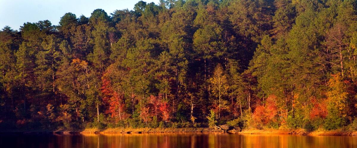 Autumn colors reflect in the water at Lake Nicol in Tuscaloosa Alabama