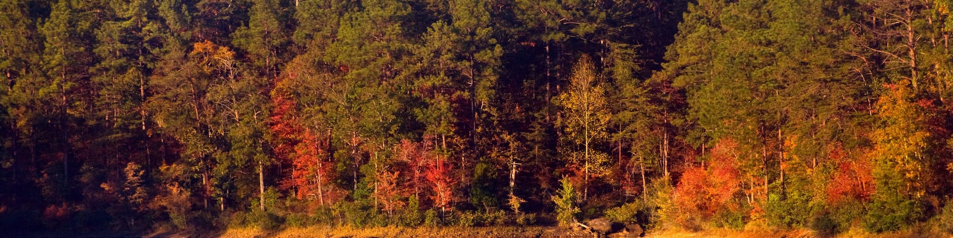 Autumn colors reflect in the water at Lake Nicol in Tuscaloosa Alabama