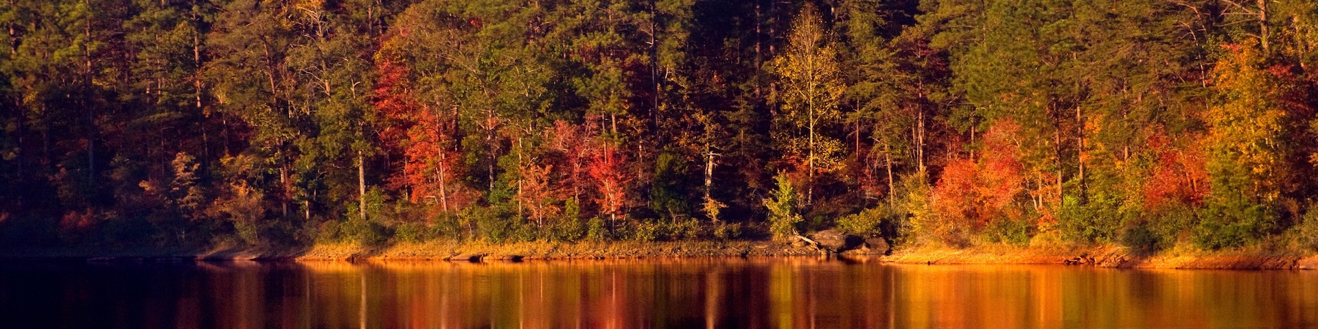 Autumn colors reflect in the water at Lake Nicol in Tuscaloosa Alabama