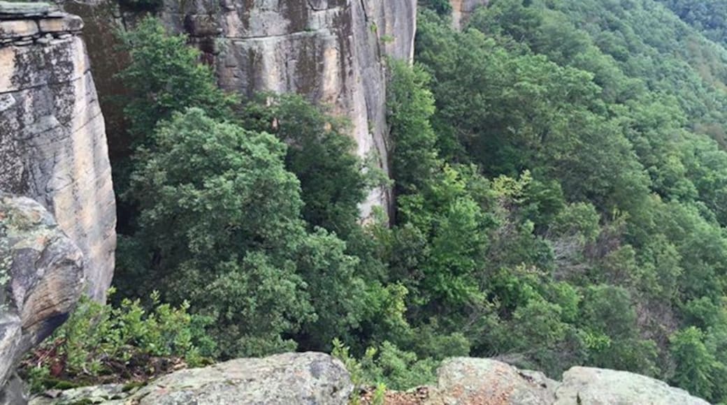 The "endless wall" of the gorge.