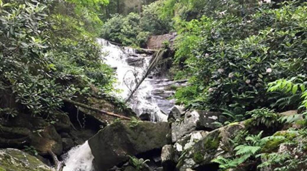 This photo doesn't do justice to this multi-tiered waterfall near the Kaymoor mine.