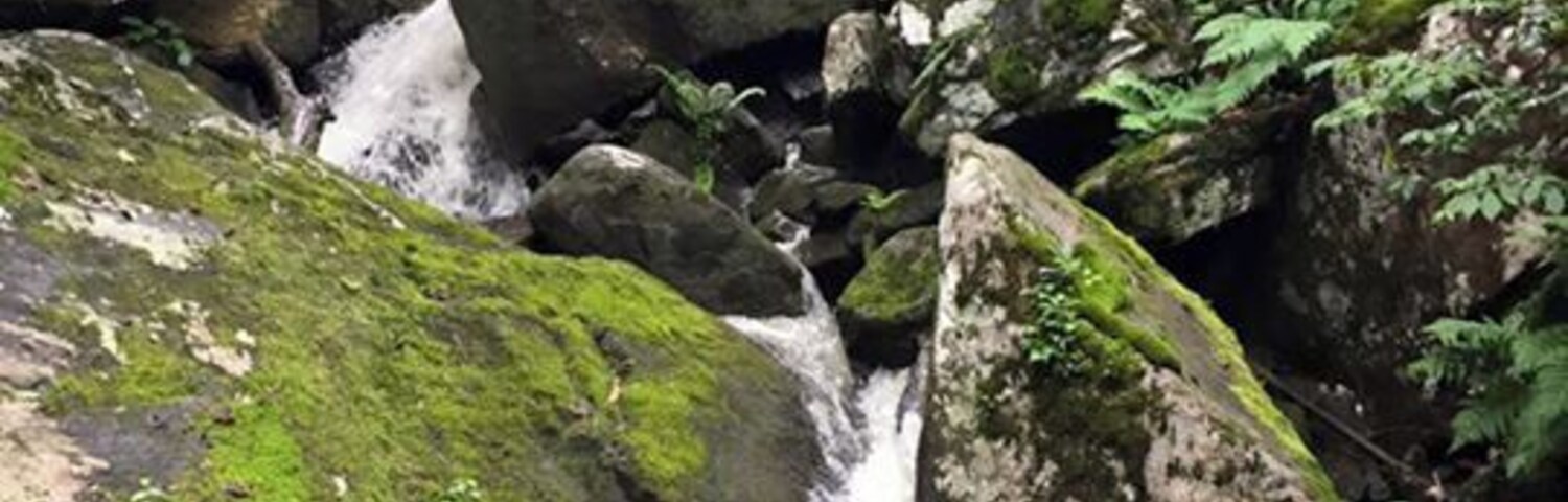 This photo doesn't do justice to this multi-tiered waterfall near the Kaymoor mine.
