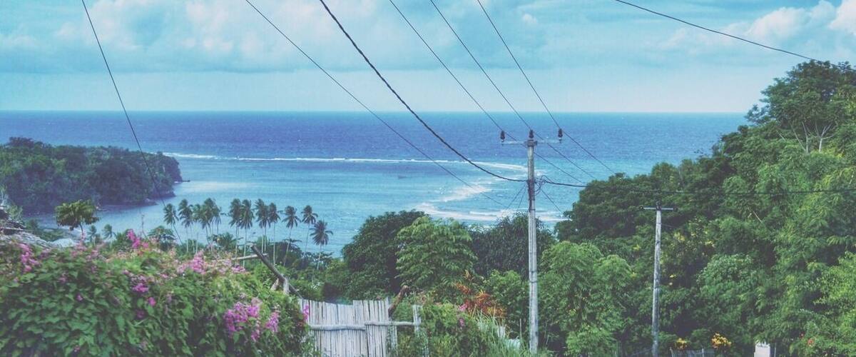 A coastal landscape with a view of the ocean, power lines, and lush greenery.