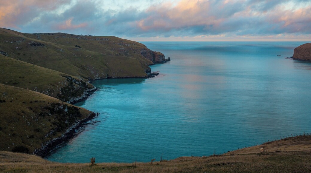 Lavericks Bay is my favorite bay on the Bank's Peninsula, scenic and peaceful there's usually no one there