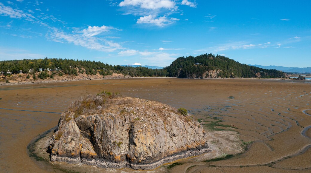 Sugarloaf Island in Marthas Bay La Conner Washington USA Skagit Bay Mudflat