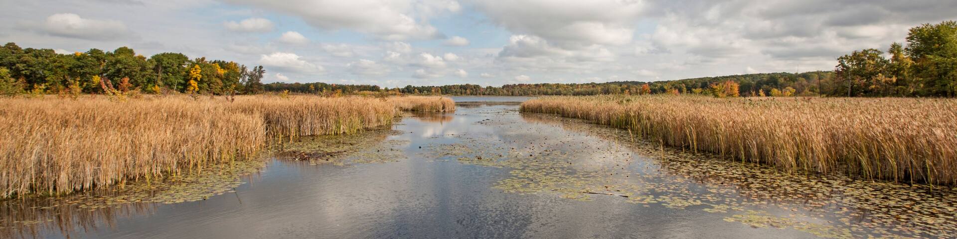 A calm river with reeds on both sides and a cloudy sky.
