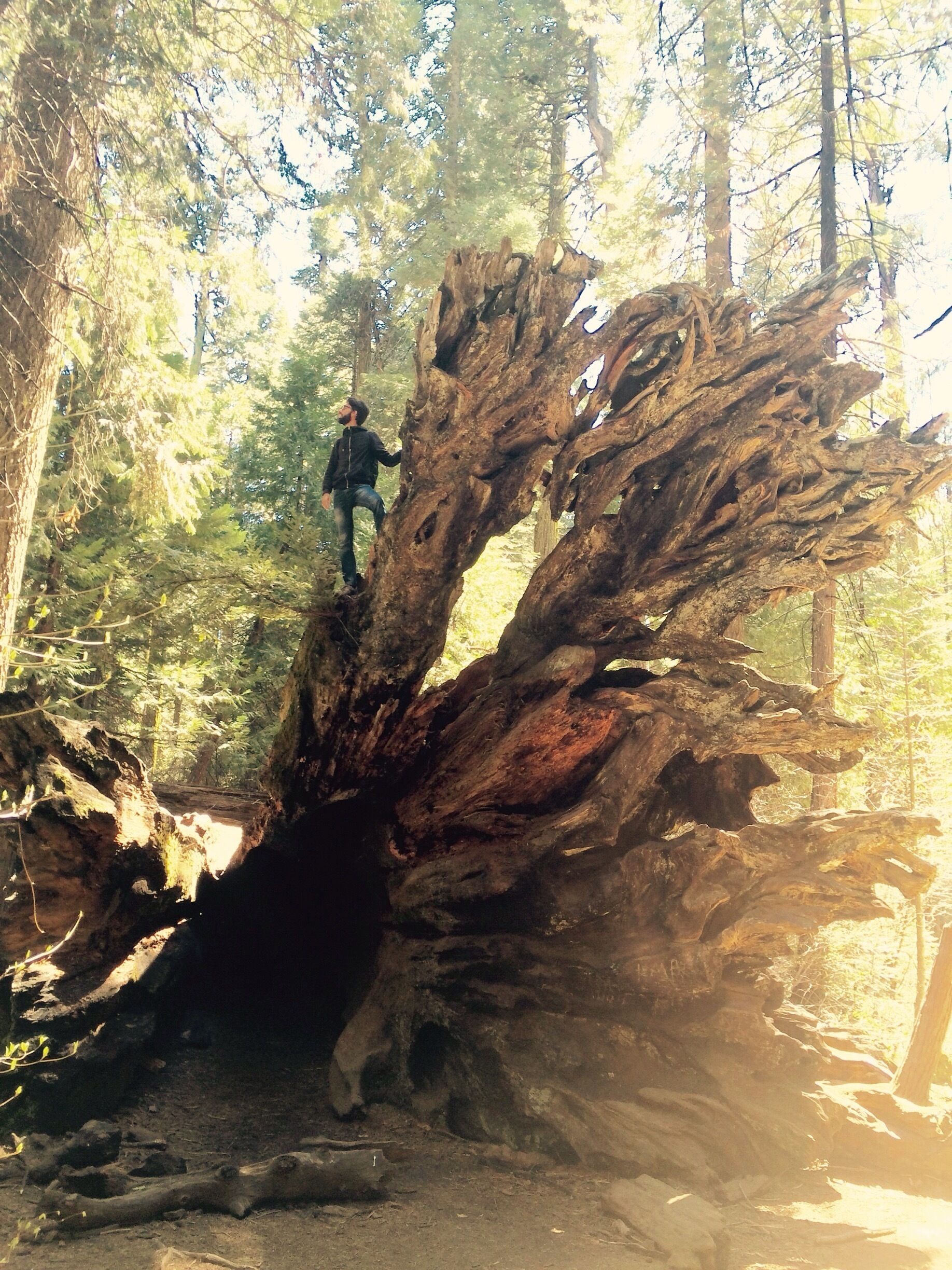 I've found my roots here. You can find your too! #NationalPark