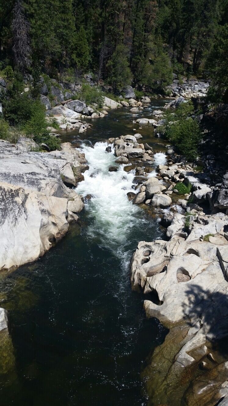 A river flowing through a rocky landscape with dense forest in the background.