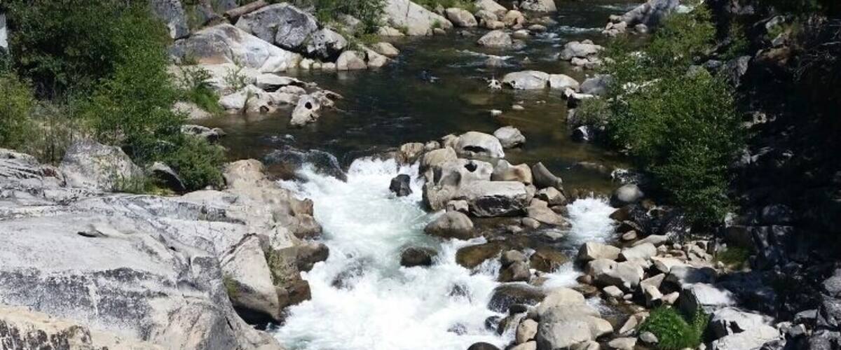A river flowing through a rocky landscape with dense forest in the background.