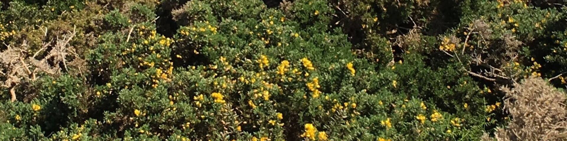 Nearby is a coastal path with a fantastic view on the cliffs