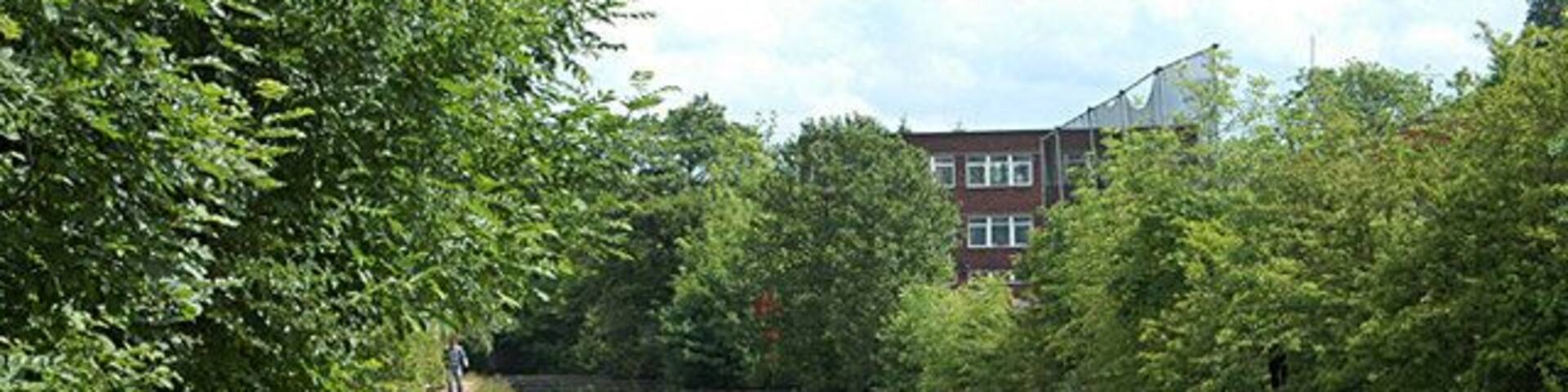 The Grand Union passes Olton