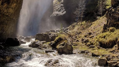 Una cascada se precipita por un acantilado rocoso, rodeada de árboles y un río que fluye en la base.