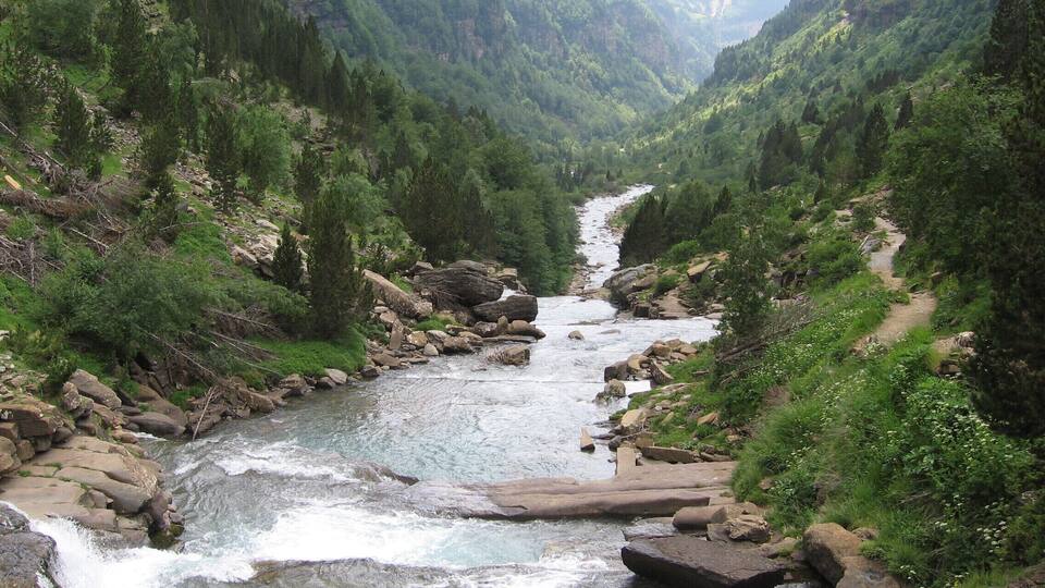 A river flowing through a canyon with rocky terrain and dense greenery.