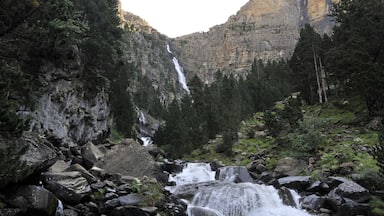 Una cascada fluye sobre rocas en un valle boscoso, con una montaña al fondo.