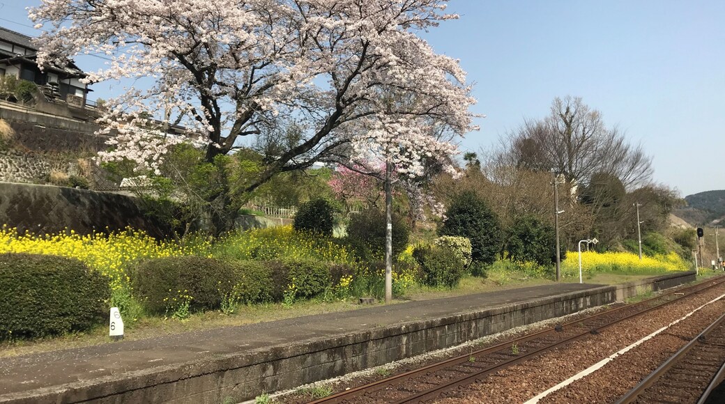 小野屋駅のホームとサクラ(奥は鬼瀬方面)