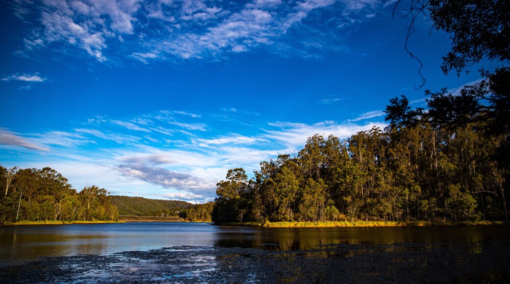 ์๋
ธ์ ๋ผ