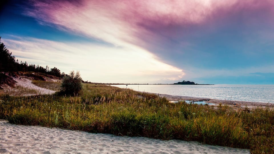 A beach with sand, grass, and a body of water.