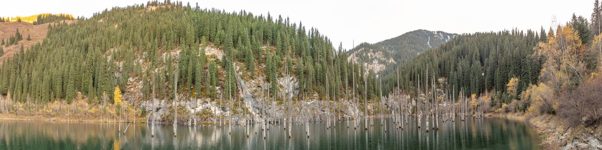 Kaindy lake. Kolsay national park, Almaty region, Kazakhstan.
