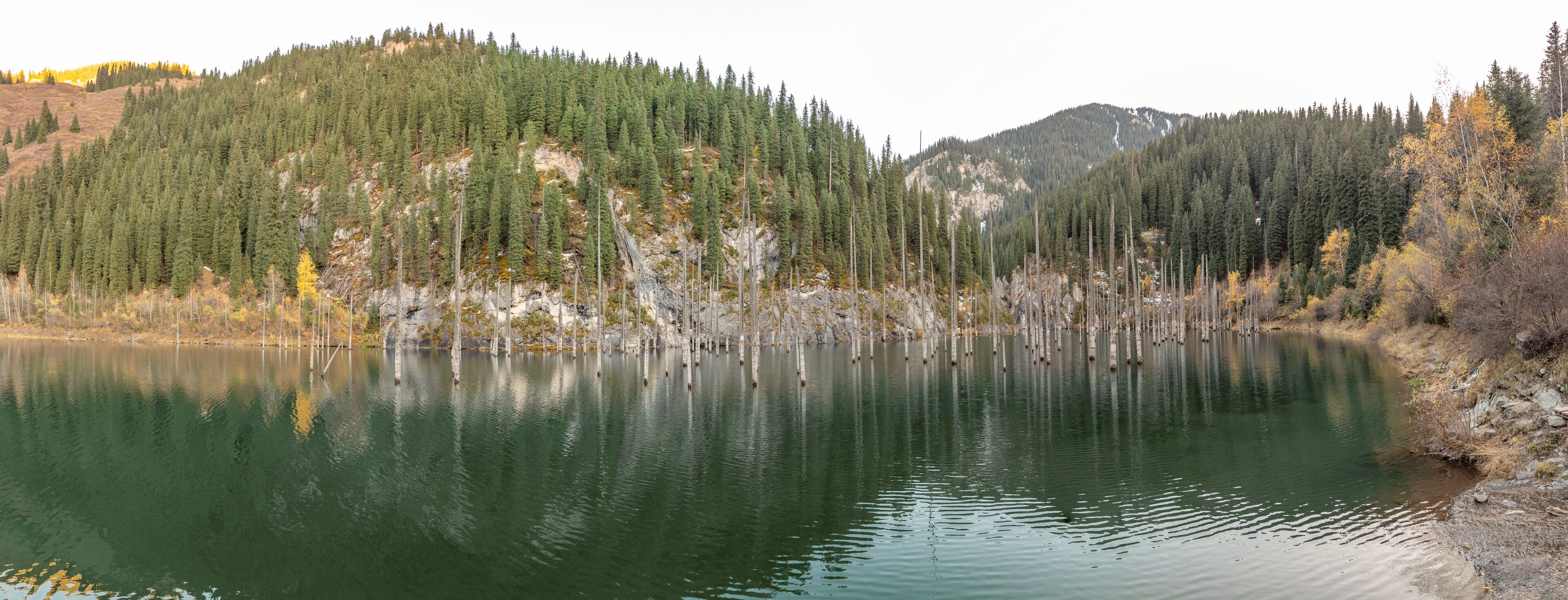 A calm lake surrounded by dense forest and rocky terrain.
