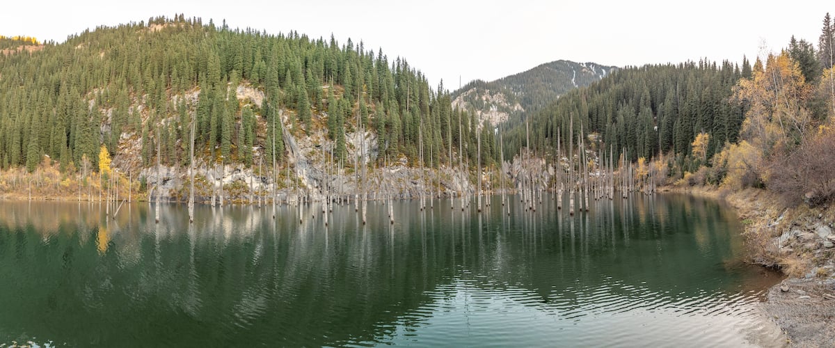 A calm lake surrounded by dense forest and rocky terrain.