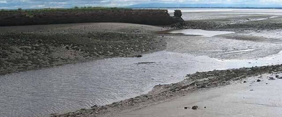 A coastal landscape with a sandy beach, a tidal flat, and a distant rocky outcrop.