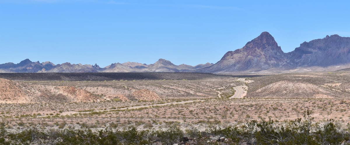 A desert landscape with a prominent mountain range in the background and sparse vegetation in the foreground.