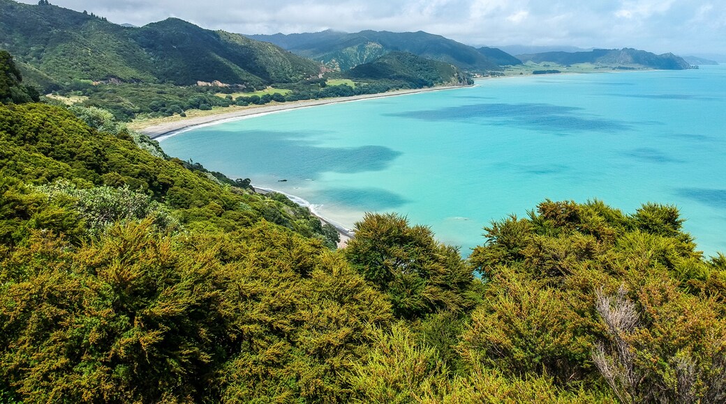 Waiotahi