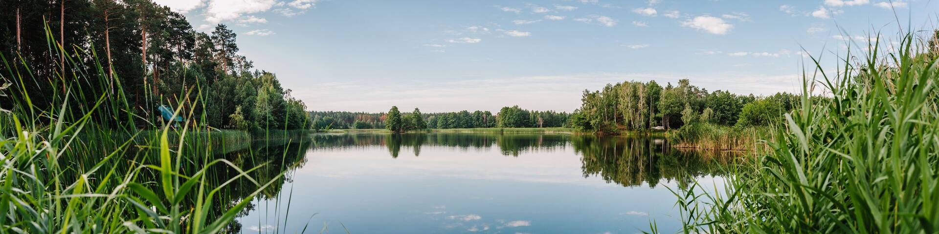 Tranquil landscape at a lake, with the vibrant blue sky, white clouds and the trees reflected symmetrically in the clean blue water. Summer. Lake with spring trees panorama photo.
