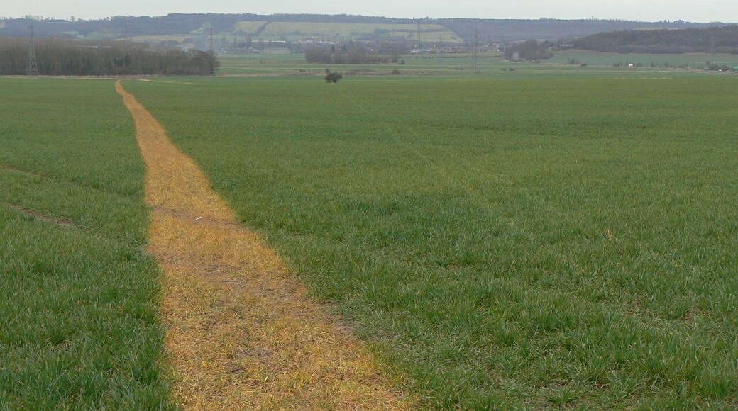 View across the moors. The yellow strip is the public footpath which roughly parallels the main road between Nottingham and Gotham, and has clearly been marked using herbicide.