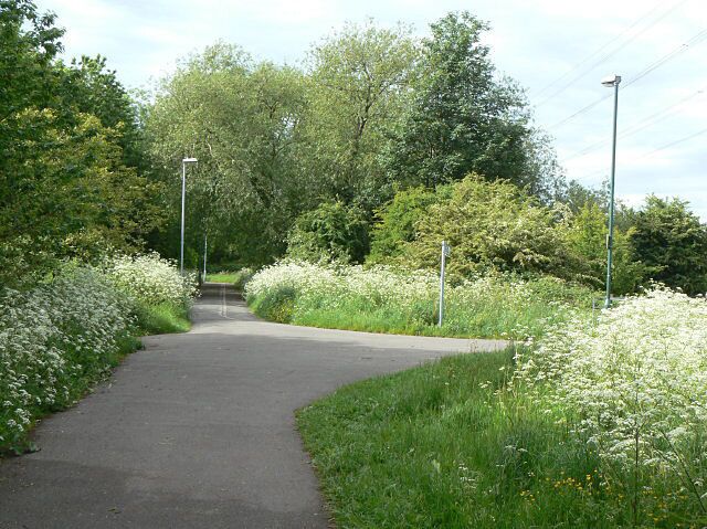 Silverdale Walk The main footpath turns right at this point and crosses the Fairham Brook. Straight ahead the footpath rejoins the Clifton Estate.