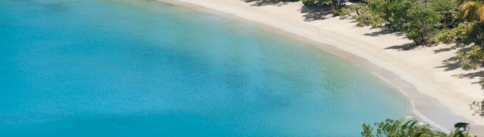 Ein tropischer Strand mit klarem türkisblauem Wasser, einem Sandstrand und Palmen.