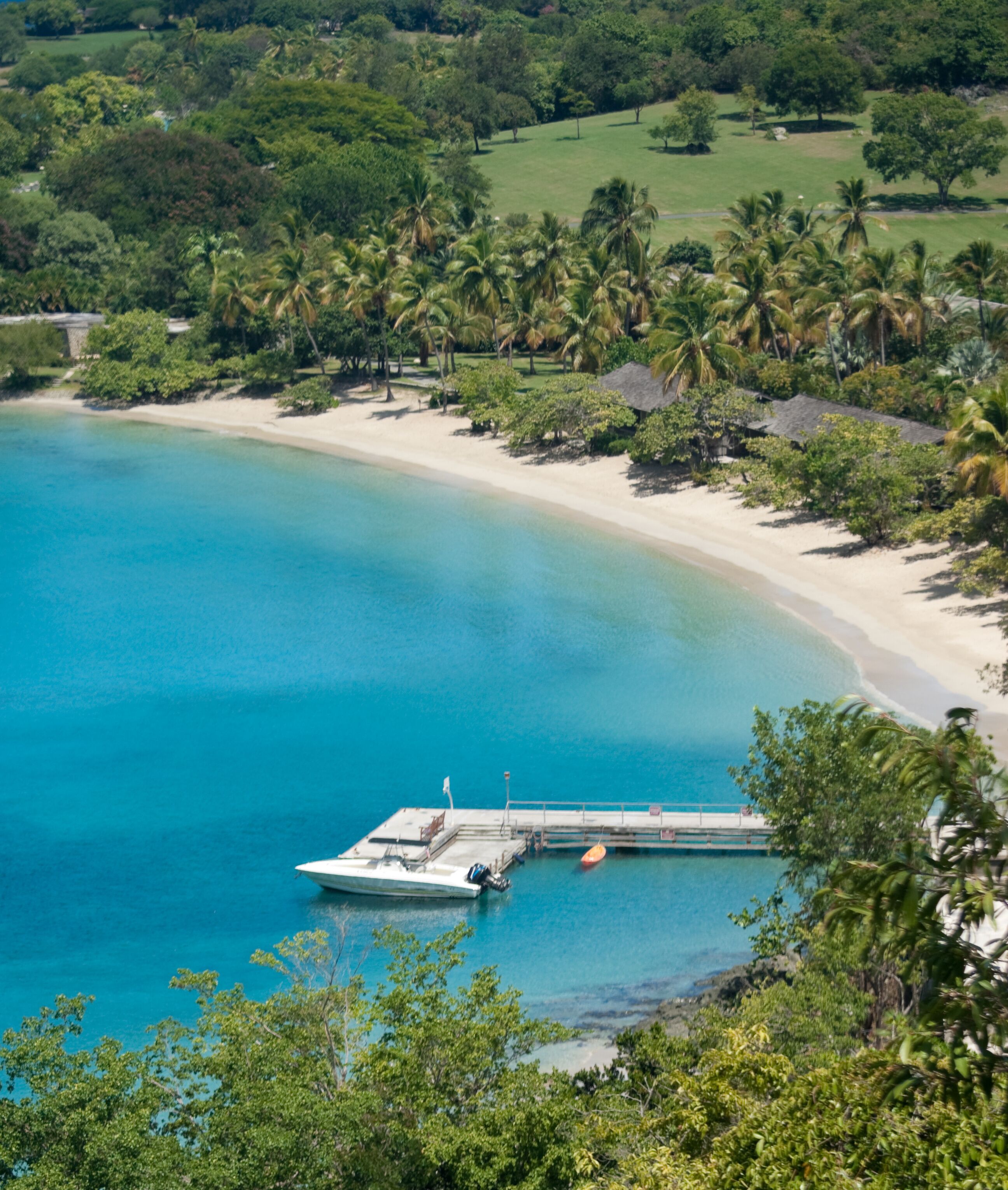 A tropical beach with clear turquoise waters, a sandy shore, and palm trees.