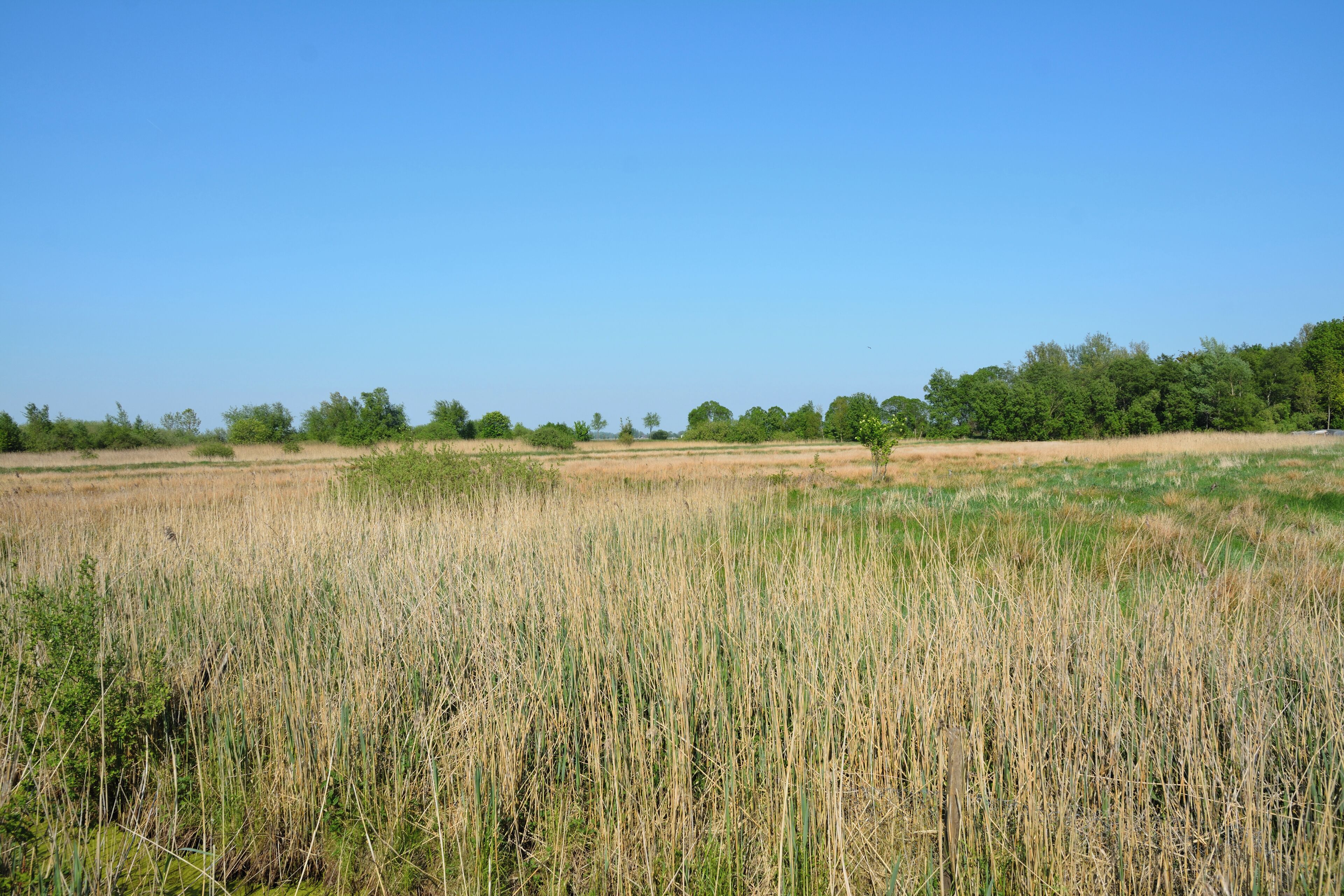 This is a picture of the protected area listed at WDPA under the ID